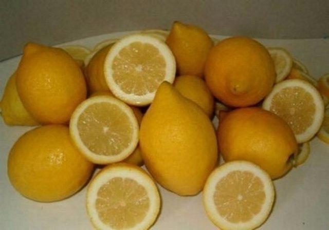 <p>Bir kilo limonda bir kilo çilekten daha fazla şeker vardır...</p>

<p> </p>
