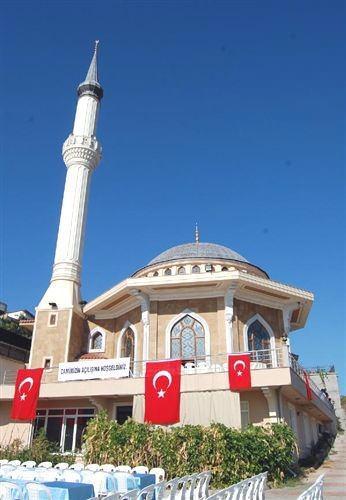 <p>Yalova 155</p>

<p> </p>
