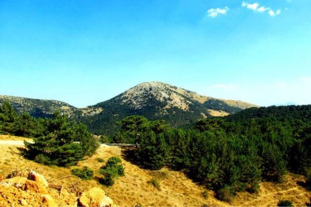 <p>İl: Manisa<br />
İlçe: Yunusemre<br />
Nüfus: 204.436</p>

<p> </p>
