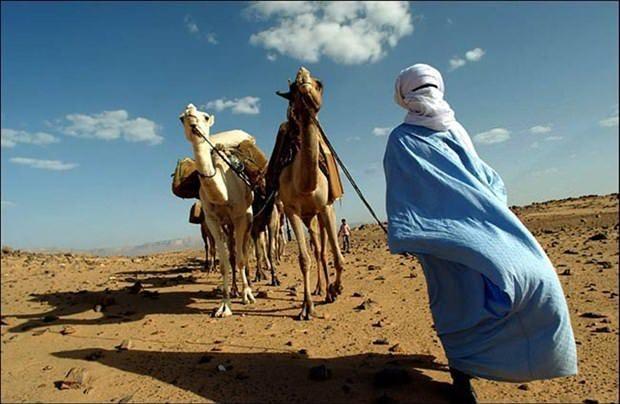<p>Libya</p>
