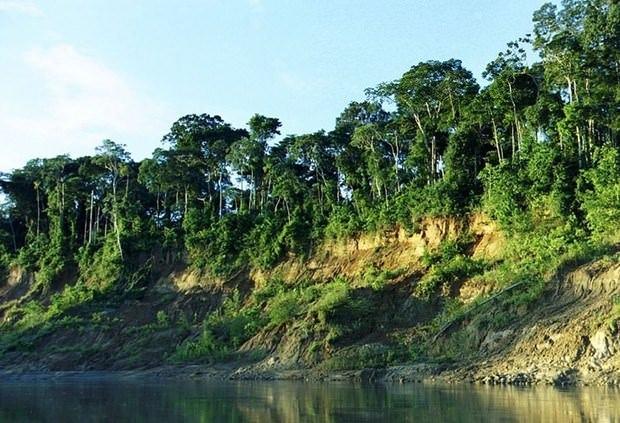<p>Peru</p>
