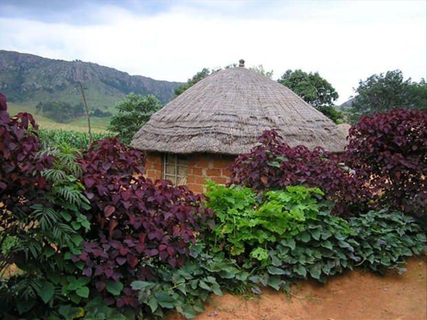 <p>Svaziland</p>
