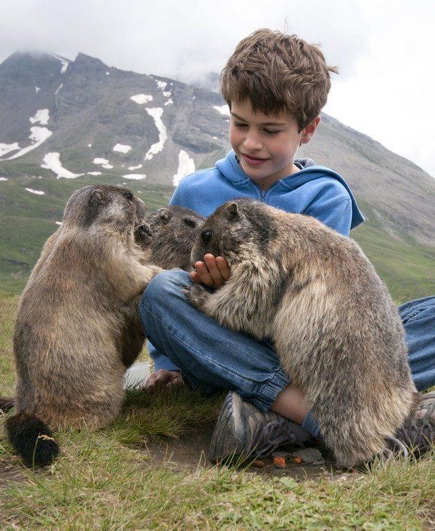 <p>Avustralya'da yaşayan Matteo Walch, Alpler'de ki marmotlarla tanıştığında henüz 4 yaşındaydı.</p>

