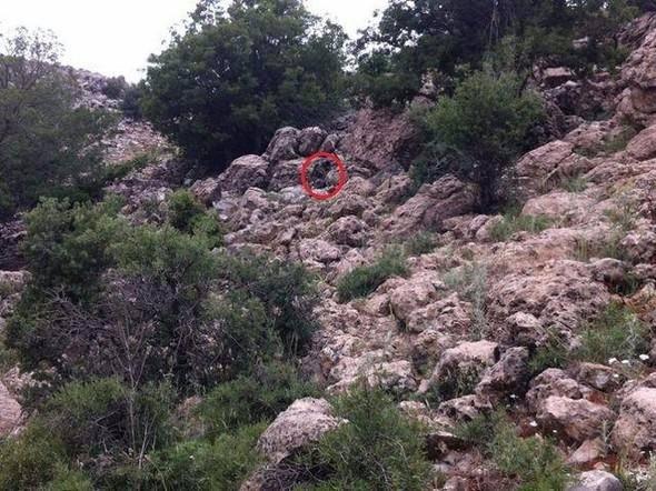 <p>Evet, tam olarak o noktadan bizi izliyor!</p>

<p> </p>
