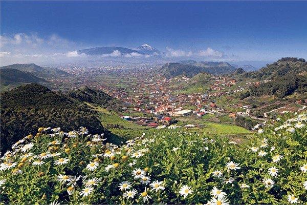 <p><strong>Tenerife</strong></p>

<p>İspanya</p>
