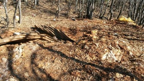 <p>Operasyonda bulunan sığınaklar kullanılamayacak şekilde imha edilmiştir. İlimizde terörist unsurlara yönelik düzenlenen operasyonlara devam edilmekte olup; güvenlik güçlerimiz bölge halkımızın da desteği ile huzur ve güvenliği sağlamak maksadıyla, ilimiz genelinde teröristlerle mücadelesini kararlılıkla sürdürecektir."</p>

<p> </p>
