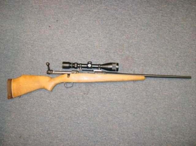 <p>Savage Model 110</p>

<p> </p>
