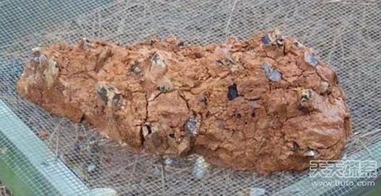 <p>Yolda bulduğu çamur parçasını eve getiren bu adam adeeta bir servet kazandı...</p>

<ul>
</ul>
