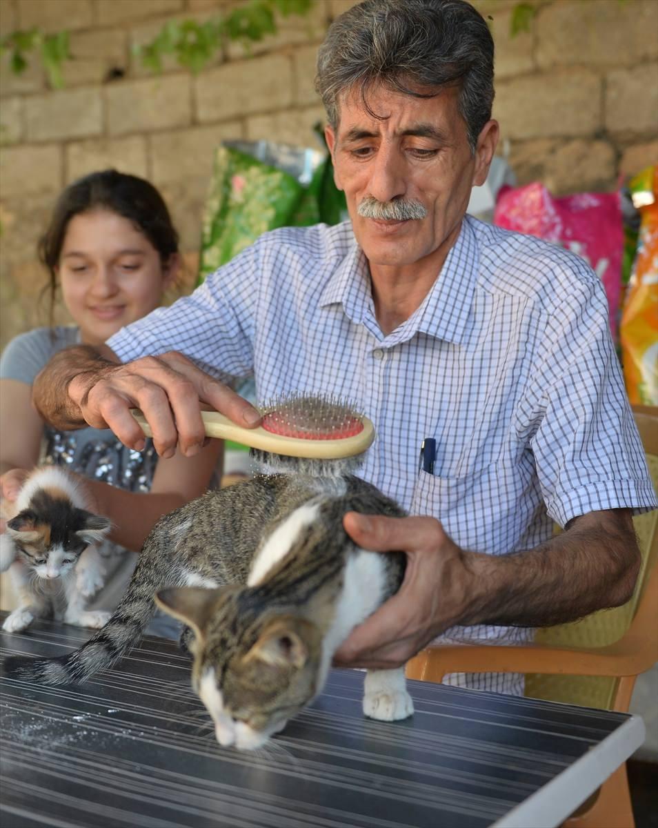 <p><strong>Mama yardımı talebi</strong></p>

<p>Kızının sosyal medyada adına açtığı hesap üzerinden hayırseverlerden mama talebinde bulunduklarını belirten Turğut, "Para yardımı yapmak istediler ama kesinlikle kabul etmiyorum. Mama göndermelerini istiyorum. Gücüm yettiği kadar mamaları sokak hayvanlarına dağıtacağım." dedi. </p>
