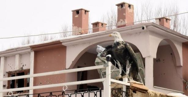 <p>-‘Berxwedan Erciş’ kod adlı Ü.G., 2014’ten itibaren kırsal alanda faaliyetlerde bulundu.</p>
<p> </p>
