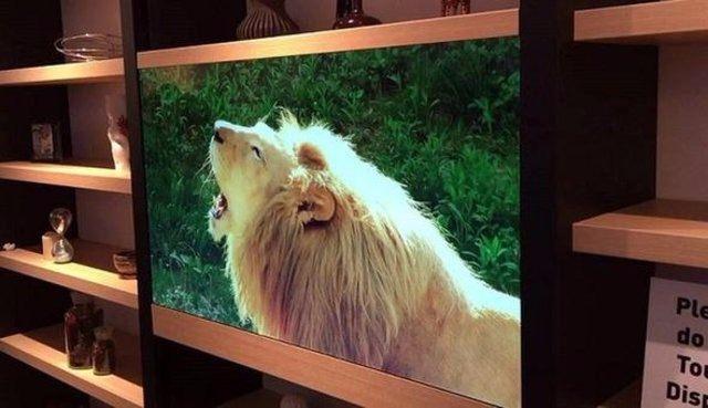 <p>Panasonic'in tanıttığı OLED ekran, cam bir kayan kapıya yerleştirilmiş durumda. Her ne kadar televizyon, arka ışıklar a&ccedil;ıkken g&ouml;r&uuml;lebilir olsa da, arka ışıklar kısıldığı zaman g&ouml;r&uuml;nt&uuml;n&uuml;n netliği, normal televizyonlardan neredeyse ayırt edilemeyecek seviyede.</p>

<p>&nbsp;</p>
