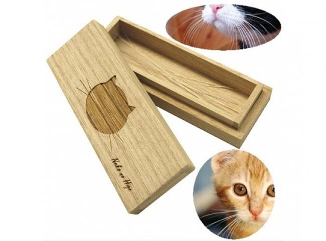 <p><strong>Dökülen kedi bıyıkları için özel kılıf</strong></p>