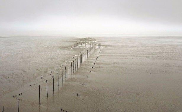 <p>Marten, İngiltere kıyılarında yaşanana “gelgit” nedeniyle su seviyesinin çekilmesininin sonuçlarını böyle görüntüledi.</p>

<p> </p>
