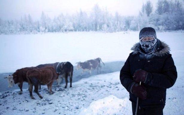 <p>Rusya'nın Kuzey Kutbu'na en yakın köyü Oymyakon, adını konumuna oranla sıcak sularından alıyor. Rusça'da "Donmayan Su" anlamına gelen bölgeye 1930'lu yıllara kadar geyik sürülerinin su ihtiyaçlarını karşılamak için indiği biliniyor.</p>