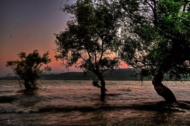 <p> Her yıl Leylek Festivali'nin yapıldığı köyün temel geçim kaynağı ise balıklıçılık ve zeytin üreticiliği.</p>

<p> </p>
