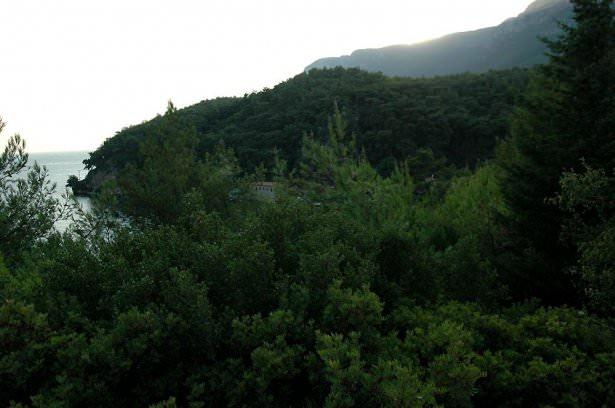 <p>Akyaka</p>
