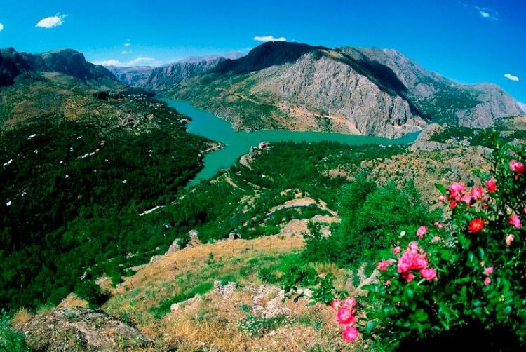 <p>Erzincan<br />
<br />
Nüfusu: 226 032  <br />
Toplam otomobil sayısı: 26 576<br />
​Kaç kişiye bir otomobil düşüyor: 8,5</p>
