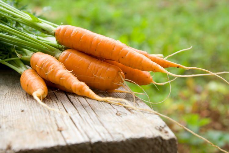 <p>Vitaminler açısından zengin olan havuç yada havuç suyu cildin kendini yenilemesini ve nikotinden arınmasını sağlar.</p>