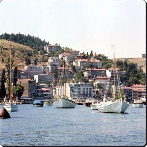 <p>1971, Bebek </p>

<ul>
</ul>
