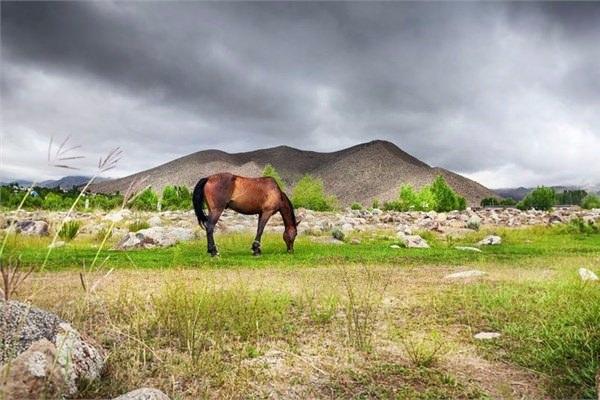 <p>1- Moğolistan</p>

<p>&nbsp;</p>
