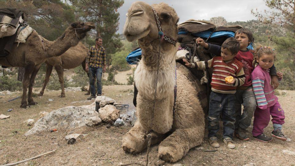 <p>Yaylak ve kışlak hayatı yaşayan, kıl çadırlarda teknolojik imkanlardan uzakta geleneksel yaşam tarzını sürdüren Gök ailesi, besledikleri keçilerden elde ettikleri süt, peynir ve eti satarak geçimini sağlıyor.</p>

<p> </p>
