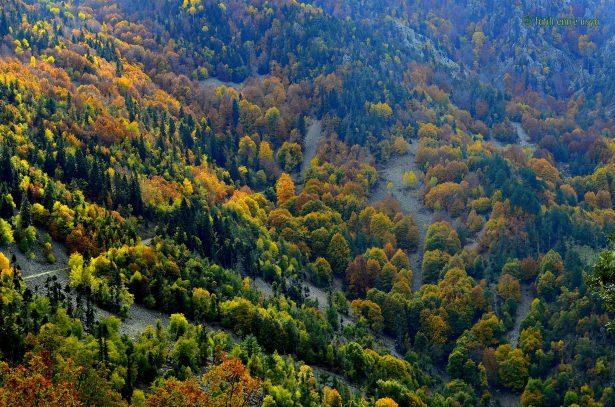 <p><strong>Düldül Dağı: </strong>Hatay-Osmaniye-Kahramanmaraş istikametinde uzanan Amanos Dağlarının bir zirvesidir.<br />
Farklı ağaçları bir arada görmek mümkündür. Gürgen, ladin, köknar...bunlara örnektir. Sonbaharda her rengi burada görmek mümkündür.</p>
