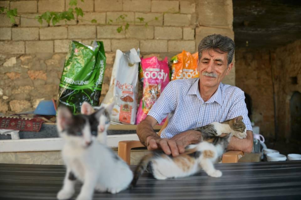 <p>Turğut, AA muhabirine yaptığı açıklamada, 5 çocuğuyla kedilere karşı büyük sevgi beslediklerini söyledi.</p>

<p> </p>
