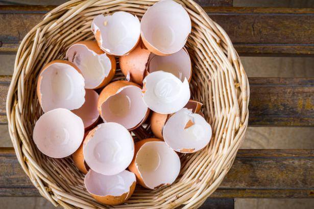<p><span style="color:#FFFFFF"><strong>Tebeşir </strong><br />
<br />
Yumurta kabuklarıyla tebeşir kalemler elde edebilirsiniz. Yumurta kabuklarını toz haline getirin sonra, birer çay kaşığı un ve sıcak suyla macun haline getirin. </span></p>
