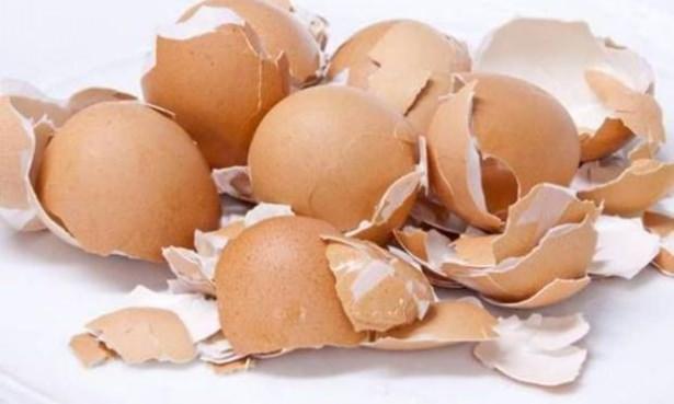 <p><span style="color:#FFFFFF">Yumurtanın kabuğunun bu kadar çok işlevsel olduğunu biliyor muydunuz? İşte yumurta kabuklarını değerlendirmenin yolları.</span></p>
