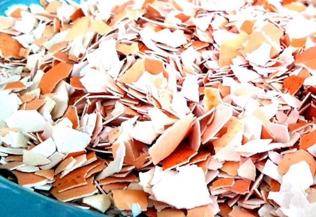 <p><span style="color:#FFFFFF">Ancak küçük parçalar halinde yumurta kabuklarını lavaboya koyarsanız, büyük yiyecek parçalarını yakalar ve zamanla parçalarlar. Daha ufak parçalarsa ufaldıkça borulardan aşağı inerek tıkanıklıkları giderir.</span><br />
 </p>
