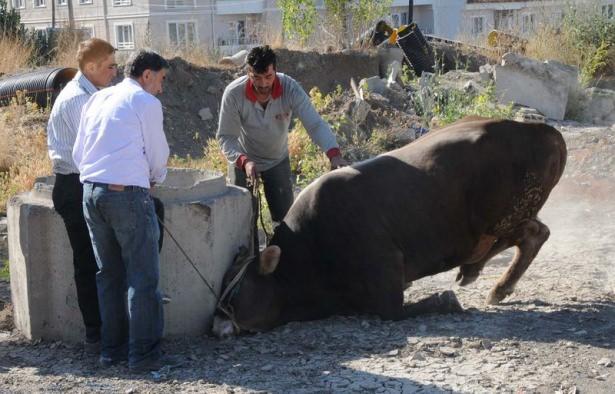 <p><strong>SİVAS</strong></p>

