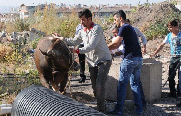 <p><strong>SİVAS</strong></p>
