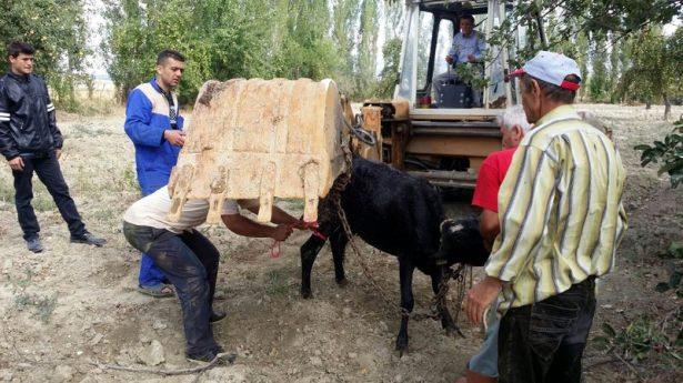 <p><strong>ISPARTA</strong></p>
