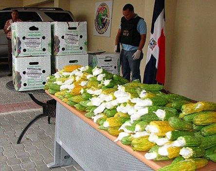 <p>Bir başka 'yaratıcı' uyuşturucu kaçakçısı ise 25 kilo kokaini 407 dolmalık kabağın içine gizledi, ama onun da foyası ortaya çıktı.</p>
<p> </p>