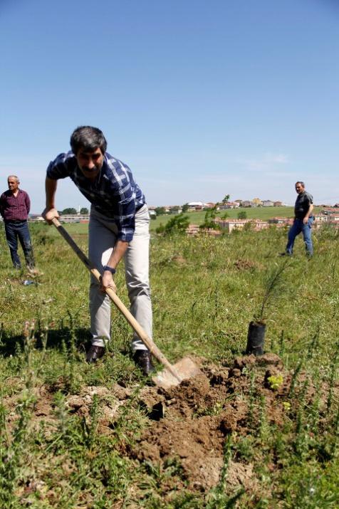 <p>Arnavutk&ouml;y'de oluşturulan hatıra ormanına Kanal 7 Medya Gurubu &ccedil;alışanları ve iş ortakları adına 2000 adet fidan dikildi.&nbsp;</p>