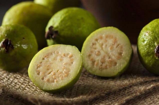 <p>Anavatanı Güney Amerika ve batı Hindistan olan guava meyvesini Silifke'de üretmeye başlayan Ziraat Mühendisi Mustafa Levent, kilogramını 7,5 liradan sattığı meyvenin kazancından son derece memnun olduğunu söyledi.</p>
