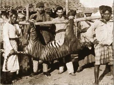 <p>18- Bali kaplanı sırf nesli tükensin diye bilerek öldürülüyordu.</p>

<p> </p>

<p>Çünkü Bali adasının yerli halkı bu kaplanın şeytanın ve afetlerin elçisi olduğuna inanıyordu.</p>

