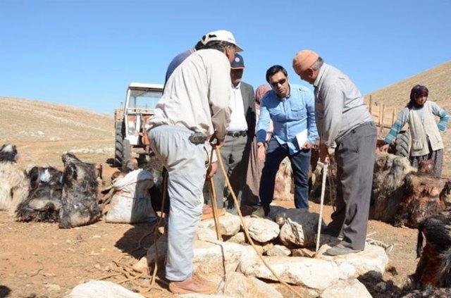 <p> İçi peynir dolu tulumlar imece usulü indirildiği kuyulardan yine aynı yöntemle alınıyor.</p>