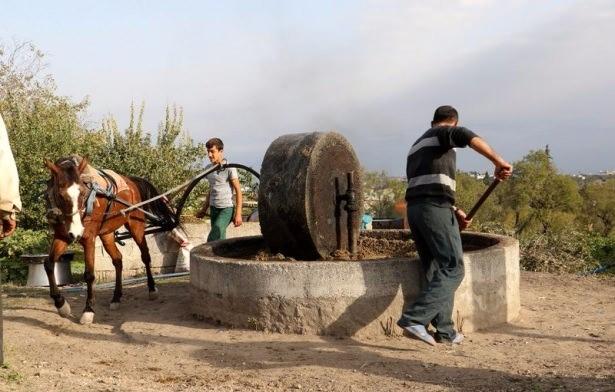 <p><strong>Zeytinyağına 'geleneksel yöntem'</strong></p>
<p> </p>
