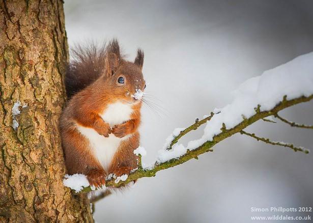 <p>Fotoğraf, Simon Phillpotts</p>
