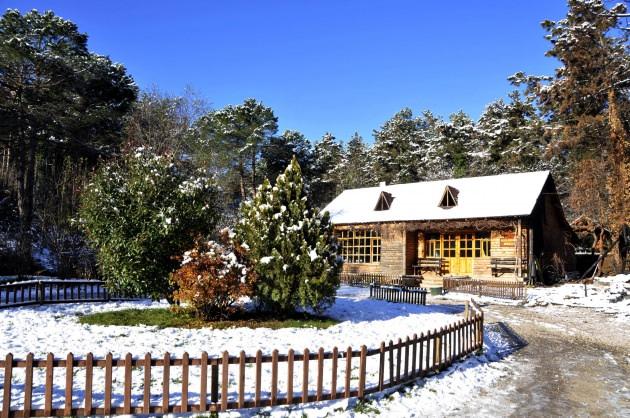 <p>KOCAELİ</p>