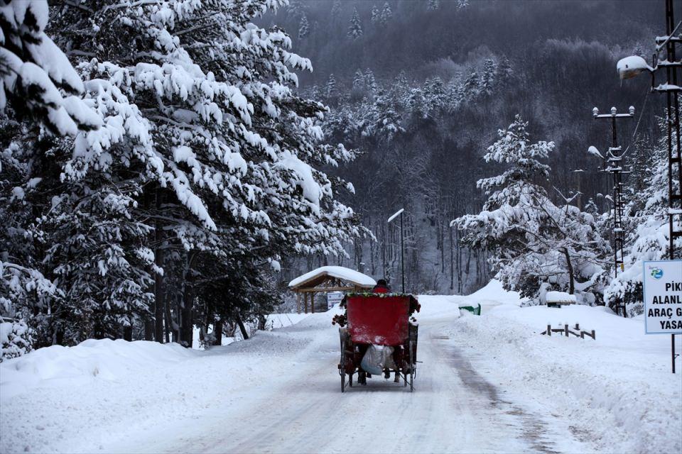 <p>BOLU</p>
