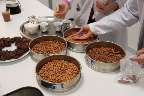 <p>Malatya Kayısı Araştırma İstasyonu Müdürlüğünde yürütülen proje kapsamında, kayısı çekirdeğinden deneme amacıyla kahve üretildi.</p>
