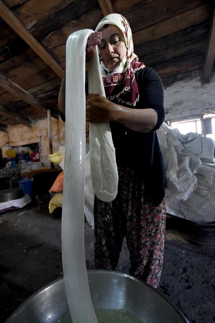 <p>Selim ilçesine bağlı Karahamza köyündeki kadınlar, özellikle ramazan ayında peynir yapımı için bir araya gelerek, yağından arındırılan inek sütünü temiz kazana döküp 24 saat oda sıcaklığında bekletiyor. </p>
