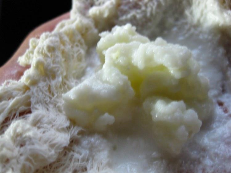 <p><strong>6- Kan şekerini dengeliyor</strong></p>
<p>Kefir gibi <strong>probiyotikler protein</strong> ve <strong>yağların</strong> kolay sindirilmesini sağlıyor. </p>
<p> </p>