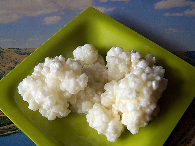 <p><strong>7- Mide gazını azaltıyor</strong></p>
<p>Laktik asit fermantasyonu sayesinde sindirimi kolaylaştırarak, <strong>midede</strong> oluşan <strong>gazı azaltan kefir,</strong> bu özelliğiyle de <strong>laktoz intoleransı</strong> olan kişilerde kalsiyum ihtiyacını karşılamak için kullanılabilir. </p>
<p> </p>