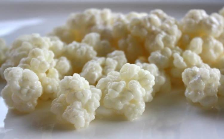 <p>Glisemik indeksi düşük olan kefir içerdiği proteinle birlikte midede <strong>uzun süre</strong> kalarak <strong>tokluk hissi </strong>veriyor ve <strong>kan şekerinin</strong> de daha yavaş yükselmesini sağlıyor. </p>