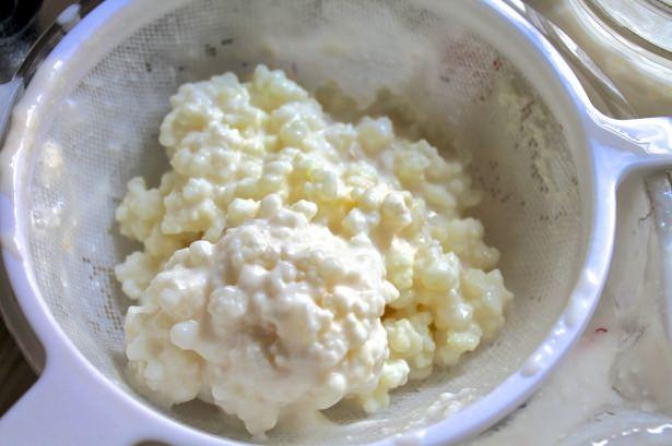 <p>Çok fazla bilinmese de kansere karşı çok önemli faktör olarak değerlendirilen kefir, kalp hastalıklarını da önlemekte yaşlanmayı yavaşlatmaktadır. </p>