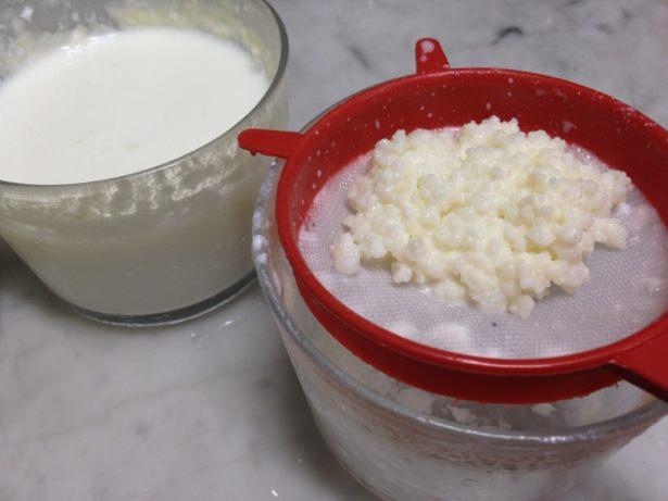 <p>Kefir, biyolojik olarak insan metabolizmasının sürekli yenilenmesini sağlar. </p>
