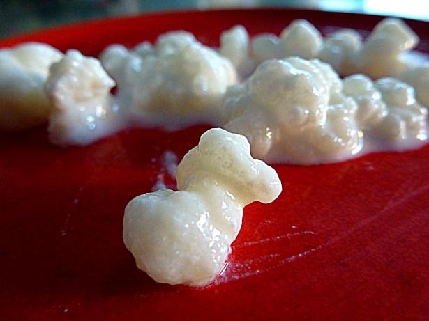 <p>Başta üreme hormonları olmak üzere, kortizol, insülin ve beyinde önemli işlevi olan serotonin (mutluluk) hormonu ile adrenalin hormonu üzerinde olumlu etkiler yapar.</p>
